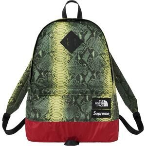 Supreme x The North Face Snakeskin Lightweight Day Pack SS18 Gorpcore Hype OBO